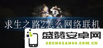 求生之路2局域网联机技巧：简易指南助你轻松享受本地多人游戏体验