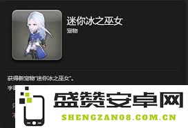 在最终幻想14水晶世界中获得迷你哈罗妮宠物的详细指南与步骤解析