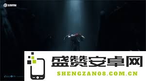 《王者荣耀》最新英雄影的大招技能机制详尽解析及实战应用