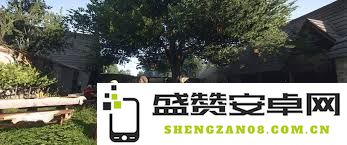 天国拯救2：获得闪耀奖牌成就的详细攻略与实用技巧指南