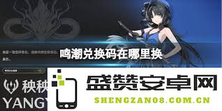 鸣潮游戏中的兑换码如何进行兑换及相关步骤指南