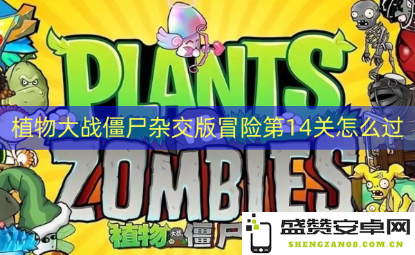 如何成功通关植物大战僵尸混合版冒险模式第14关的技巧与攻略