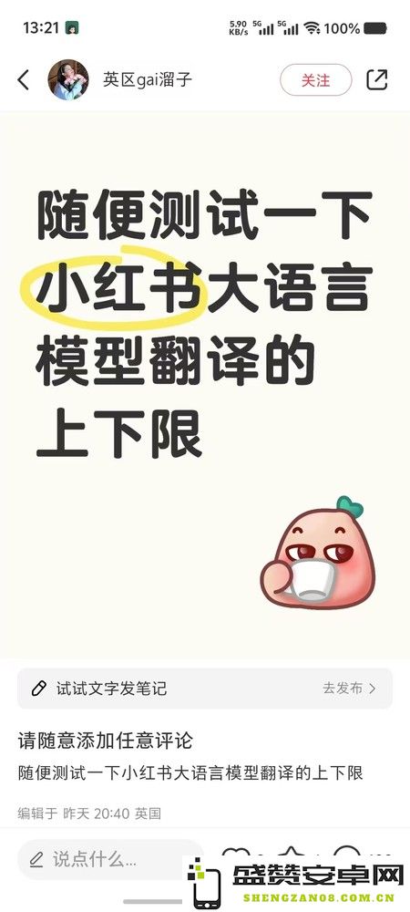 从cpdd/cxk到On9 还有什么是小红书翻译做不到的？