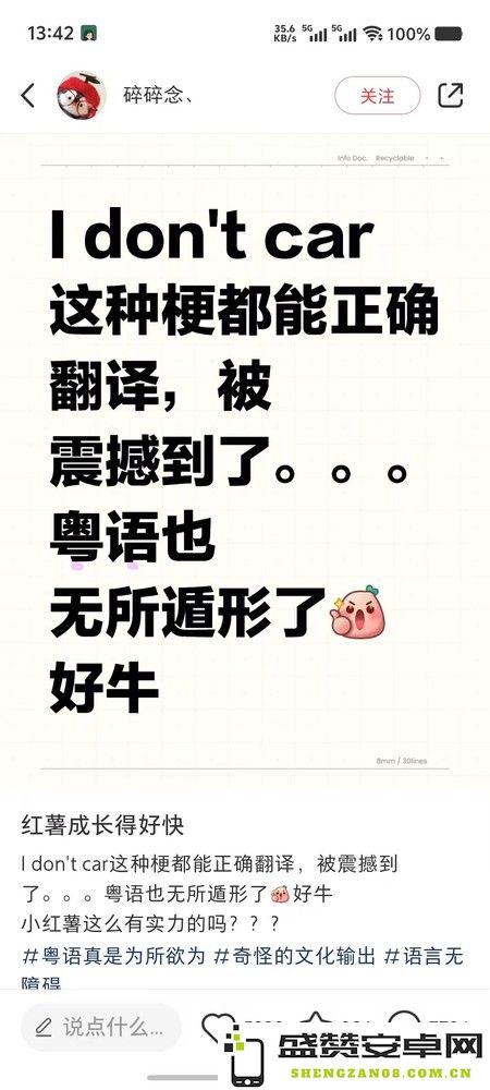 从cpdd/cxk到On9 还有什么是小红书翻译做不到的？