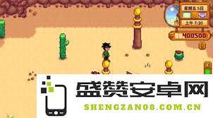 深入分析星露谷物语中的沙漠献祭柱子：如何有效完成献祭任务的全面指南