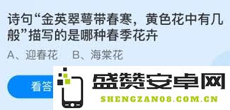 春日花卉探秘：在黄色花朵中品味‘金英翠萼带春寒’的诗意与内涵