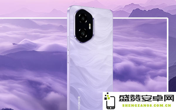 荣耀300