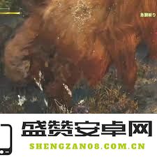 怪物猎人荒野：全面解析操虫棍的技巧与玩法攻略，助你在狩猎中游刃有余