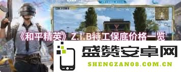 和平精英Z.I.B特工的最低消费价格究竟是多少呢？