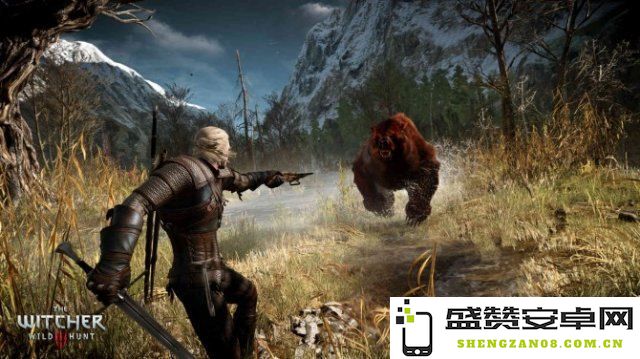 巫师2：增强版全面评测与深入分析，探寻游戏的每一个细节与精彩要素