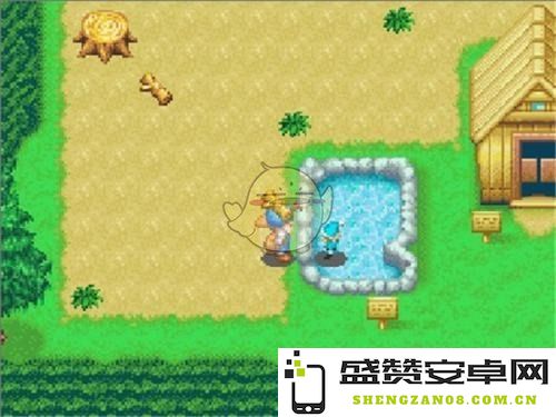 GBA牧场物语详细攻略指南，提升游戏经验与农场经营技巧