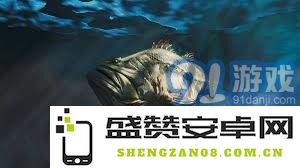 怪物猎人荒野中可用的鱼饵种类及其使用技巧分析