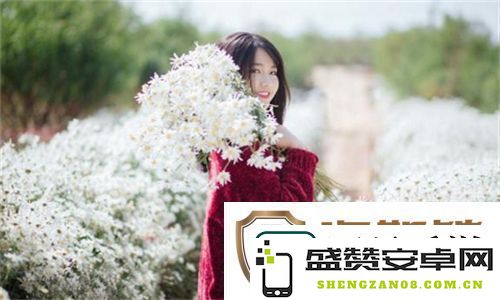 九幺免费版高清畅享下载-极速安装包获取及使用指南，畅享无限乐趣