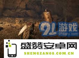 艾尔登法环中进行双持武器的详细设置步骤与技巧指南
