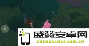 在洛克王国的世界中有哪些种类的精灵果实以及它们的特性