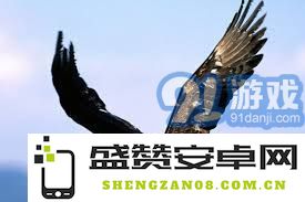 探讨凤凰与鹰的形态特征及其文化象征含义的不同之处