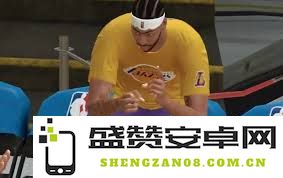 美职篮全明星哈登表现如何？他在赛场上的精彩瞬间与潜在影响