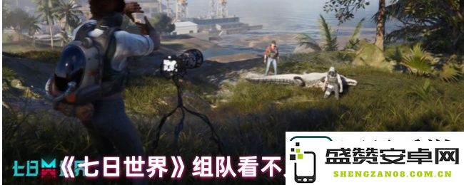 七日世界组队时队友不可见的解决方案与技巧分享