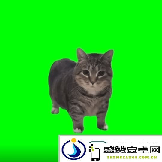 猫猫的奇幻漂流导演应中国粉丝要求-制作了魔性旋转猫
