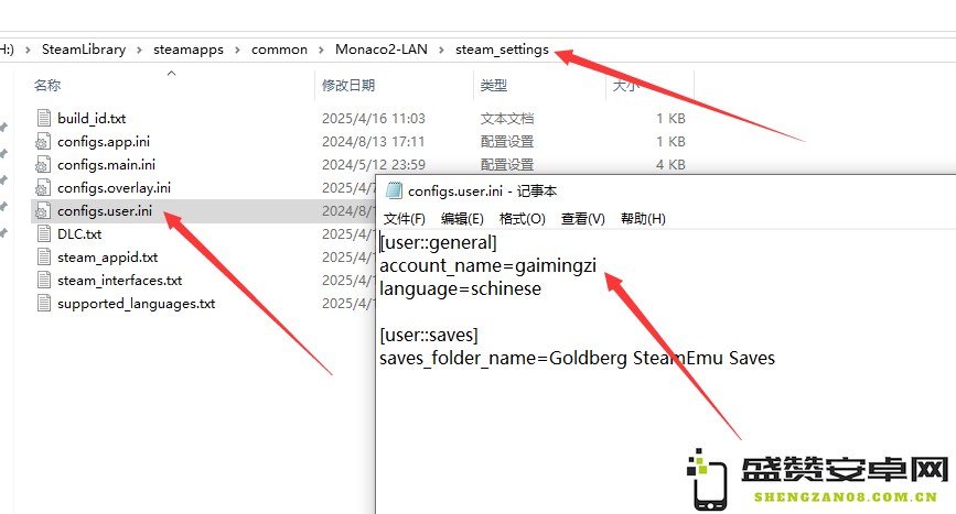 《摩纳哥2》联机攻略：游侠对战平台详细步骤解析与技巧分享