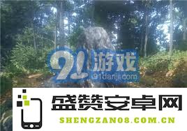 天国拯救2：寻找湖中银斧的确切位置与攻略