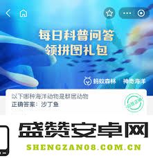 在海洋世界中，哪些动物以群居生活为主，形成独特的社会结构？
