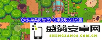 大头菜的奇幻冒险：寻找中心果的神秘之旅在哪里