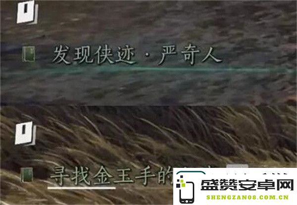 燕云十六声侠迹卷三严奇人任务应该怎么完成