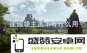 庄园领主酒馆与牧场的多重功能及其经济效益的深入探讨