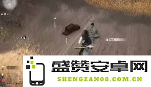 如何完成燕云十六声红缨任务并获取最佳奖励的方法和技巧分享