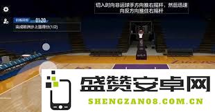 美职篮全明星球员霍勒迪的表现与实力分析如何？