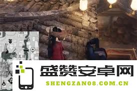 如何高效完成燕云十六声骸骨哀任务的详细攻略与技巧分享