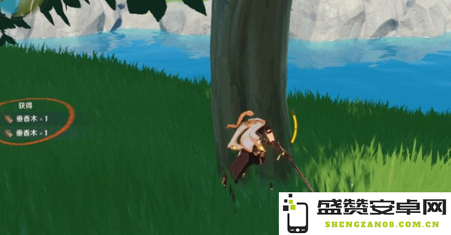 原神垂香木货架