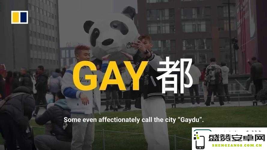 中国年轻男性在GayFucKSex文化中所经历的故事、挑战与自我探索之旅
