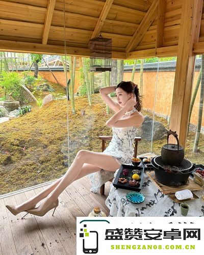 追逐动漫的最佳方式，成全动漫提供高清资源下载，引发网友热议！