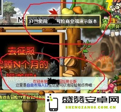 探秘冒险岛私服：全面分析与深度解读冒险岛私服的玩法和特点