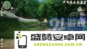 仙剑奇侠传桃花岛全面收集要素详尽攻略与心得分享