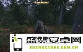 揭秘天国拯救2游戏中湖泊神秘斧头的确切位置及获取攻略分享