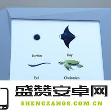 如何顺利通关Escape Room中的圣诞节水族馆挑战，获取最终胜利