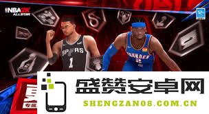 历届美职篮全明星赛中锋球员名单及他们的精彩表现