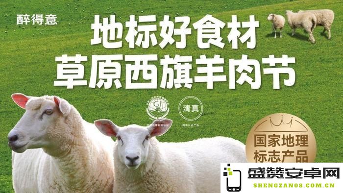 羊了个羊创作者背后的故事与游戏玩法深度分析，揭示成功原因及其影响力