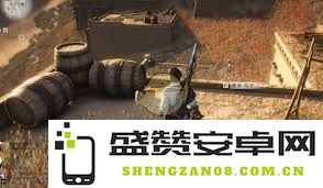 燕云十六声金沙川猫戏详尽收集与整理技巧全攻略
