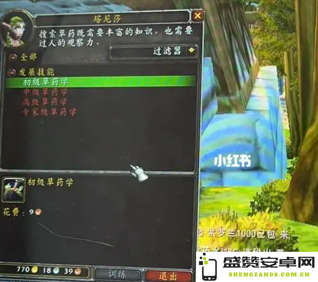 WOW不仅仅是个游戏，更是开启无尽冒险旅程的起点！