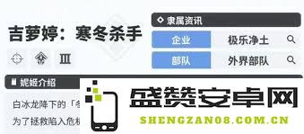 胜利女神选择火力型英雄的最佳推荐与策略分析