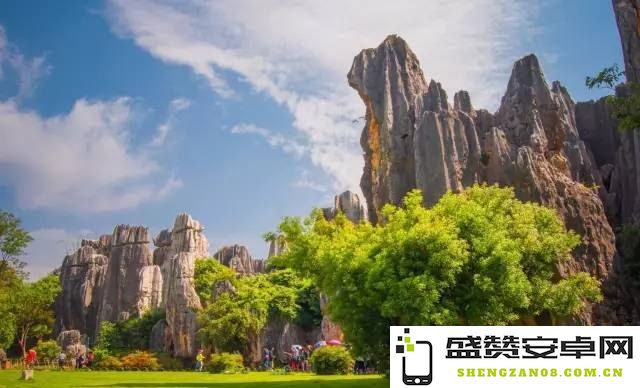 原神石林顶端在哪