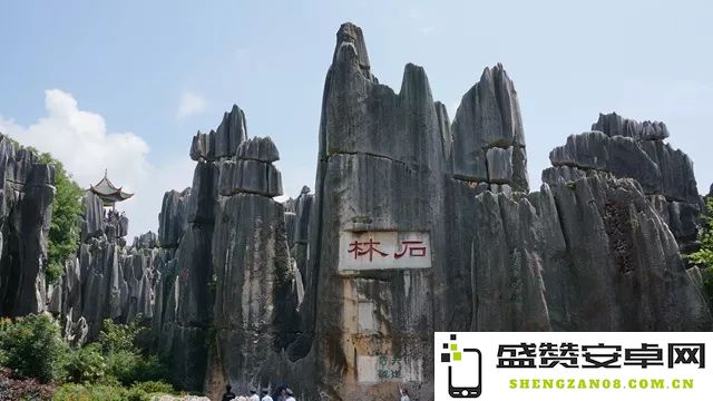 原神石林顶端在哪