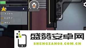 在鹅鸭杀游戏中，鹅阵营应选择哪些角色才能更好地合作取胜