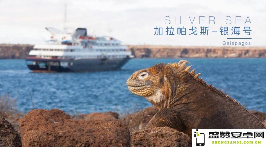 侏罗纪化石克格莫 侏罗纪化石克格莫：探索史前世界的冒险之旅