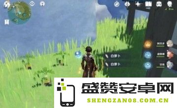 原神中的白萝卜与香菱角色解析与互动关系探讨
