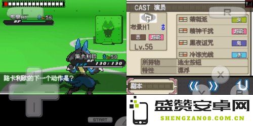 口袋妖怪黑2全方位攻略指南，助你成为训练大师的必备工具